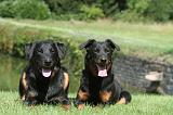 BEAUCERON 062